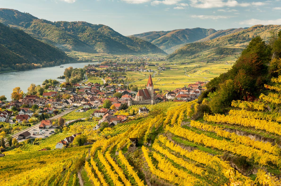 Best things to do in Austria - Wachau Wine Tour  