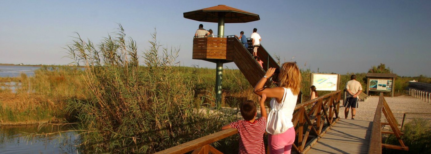 Ebro Delta National Park tourism spain