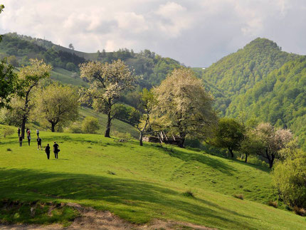 Hikking in the Cindrel Mountains of Marginimea Sibiului