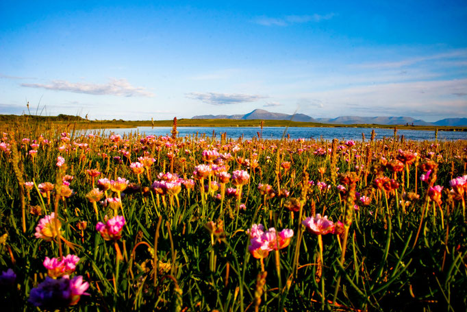 Mulranny - European Destinations of Excellence - European Best Destinations - Copyright Mulranny.ie