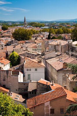 Avignon old city houses view - France Copyright Pablo Debat