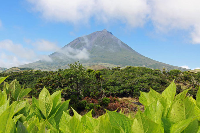 Azores - Pico Island - copyright Robert van der Schoot 2