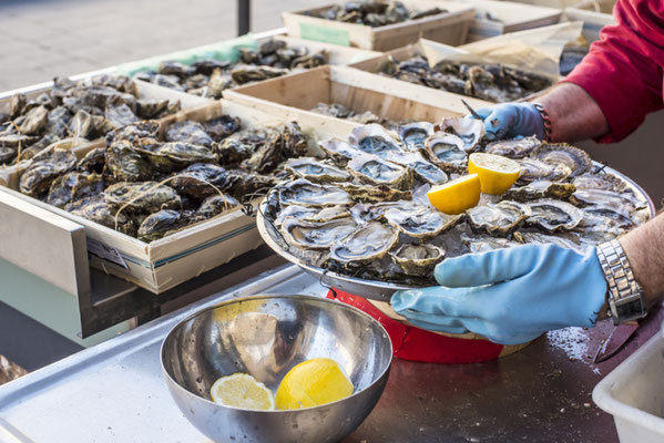 Tray of opened fresh oysters on half shell on ice with lemon in a street of Bordeaux Copyright Alvaro German Vilela