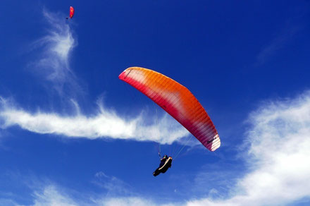 Paragliding Algarve Copyright Zebarnabe